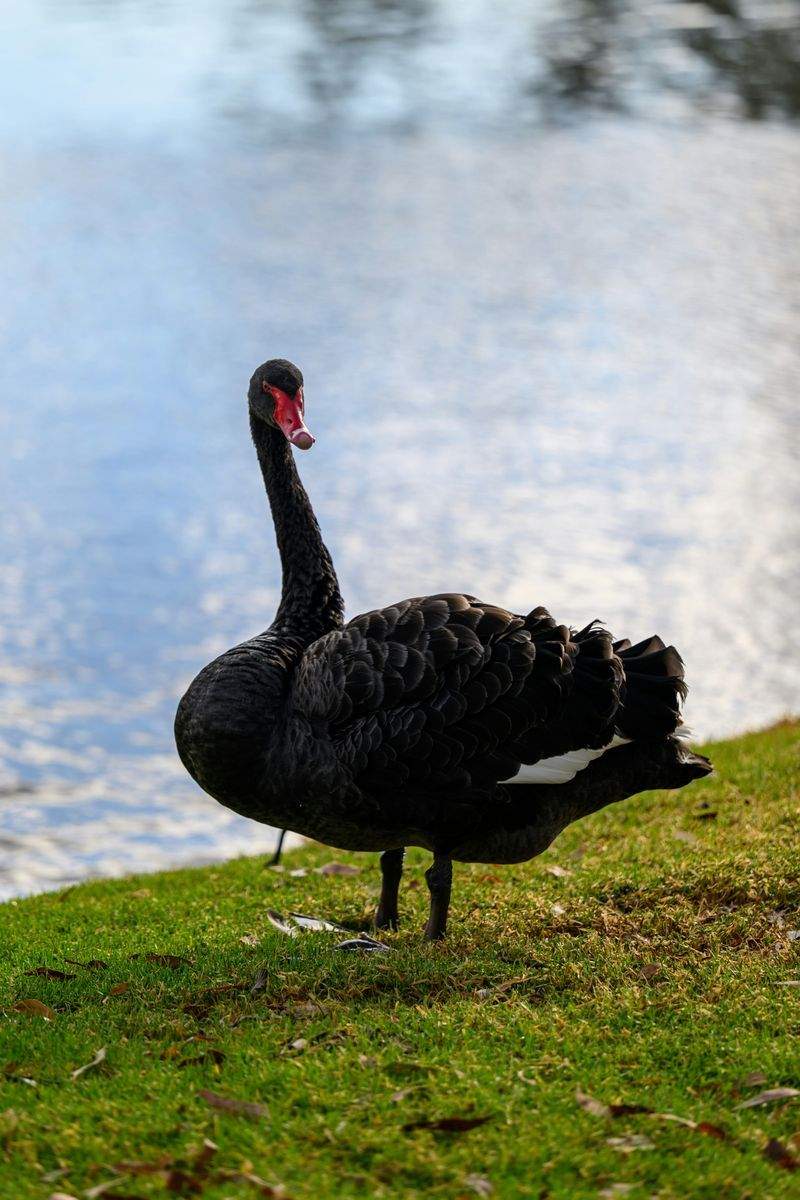 セールスジャパン株式会社 - Image 14