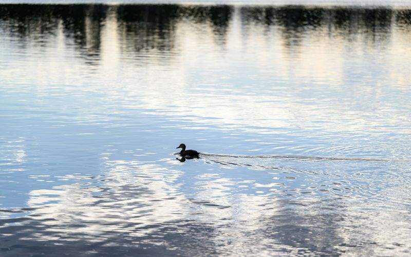 セールスジャパン株式会社 - Image 3