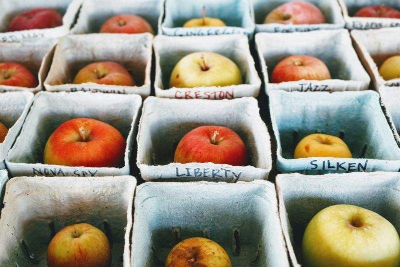 セールスジャパン株式会社 - Image 6